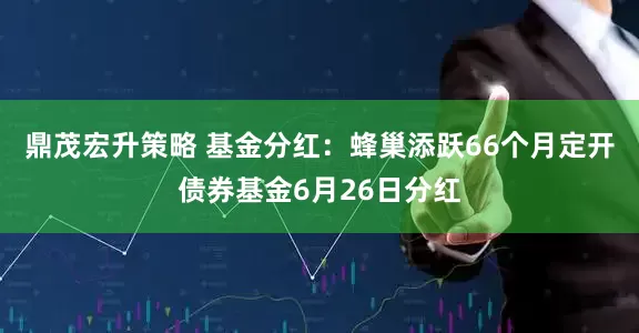 鼎茂宏升策略 基金分红：蜂巢添跃66个月定开债券基金6月26日分红