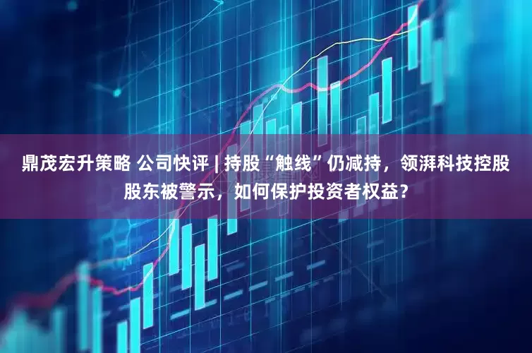 鼎茂宏升策略 公司快评 | 持股“触线”仍减持，领湃科技控股股东被警示，如何保护投资者权益？