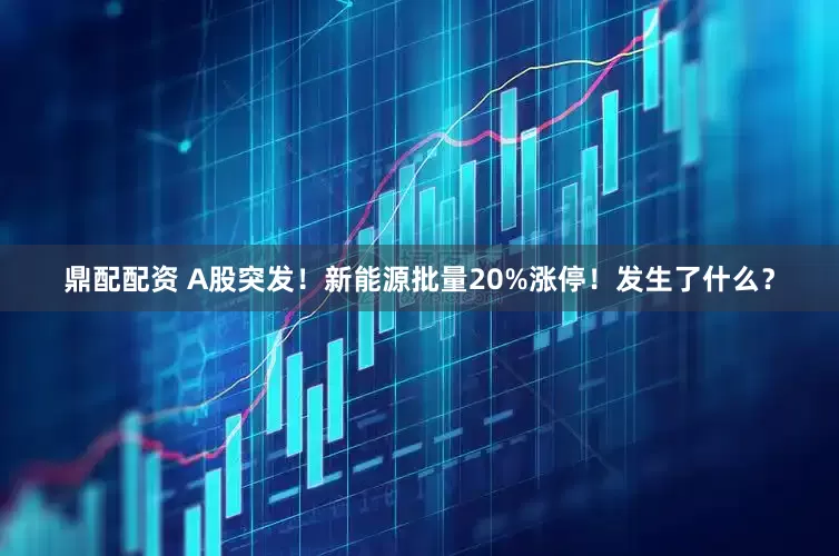 鼎配配资 A股突发！新能源批量20%涨停！发生了什么？