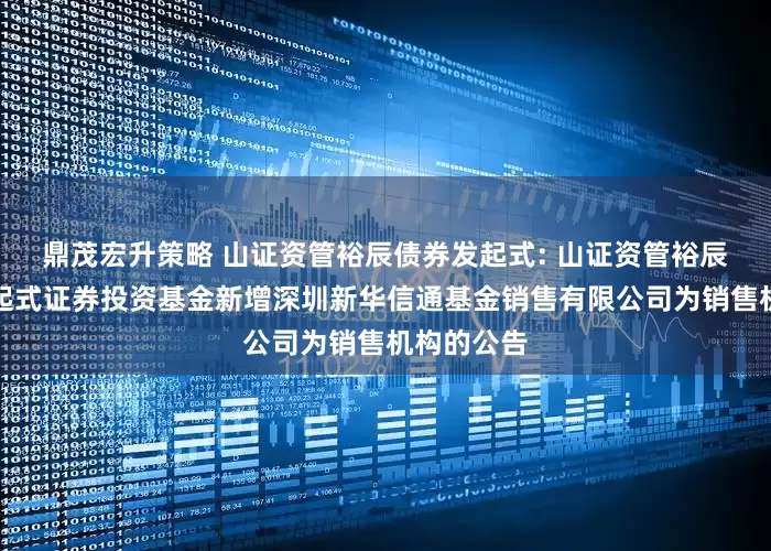 鼎茂宏升策略 山证资管裕辰债券发起式: 山证资管裕辰债券型发起式证券投资基金新增深圳新华信通基金销售有限公司为销售机构的公告