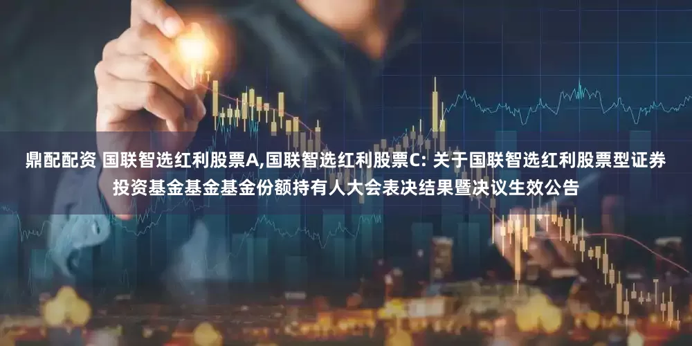 鼎配配资 国联智选红利股票A,国联智选红利股票C: 关于国联智选红利股票型证券投资基金基金基金份额持有人大会表决结果暨决议生效公告