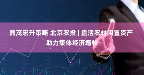 鼎茂宏升策略 北京农投 | 盘活农村闲置资产 助力集体经济增收