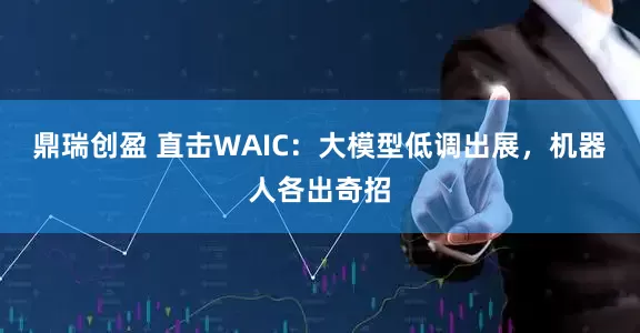 鼎瑞创盈 直击WAIC:大模型低调出展,机器人各出奇招